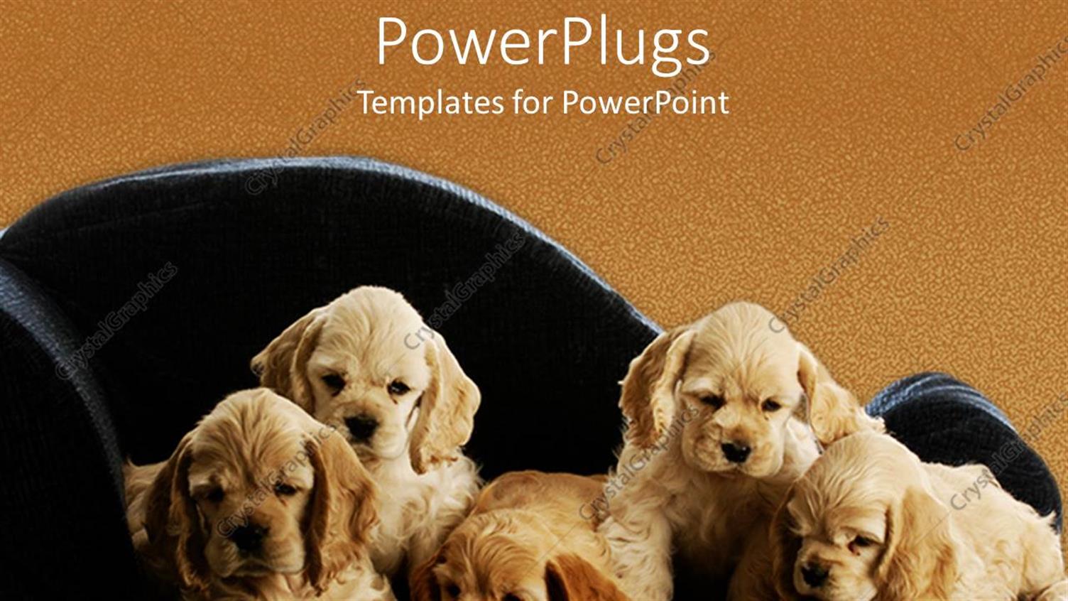 Premium Template for PowerPoint & Google Slides 