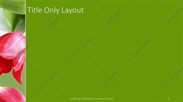 Title Only presentation slide layout