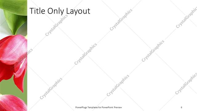 Title Only presentation slide layout