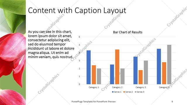 Content with Caption presentation slide layout