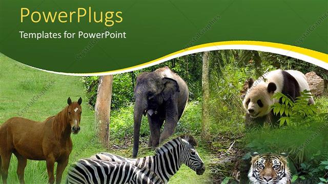  Presentation with animals - Five tiles showing different animals in a forest setting