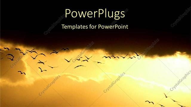  Presentation with hidden - A flock of birds flying together with sun in the background hidden in clouds