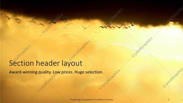 Section Header presentation slide layout
