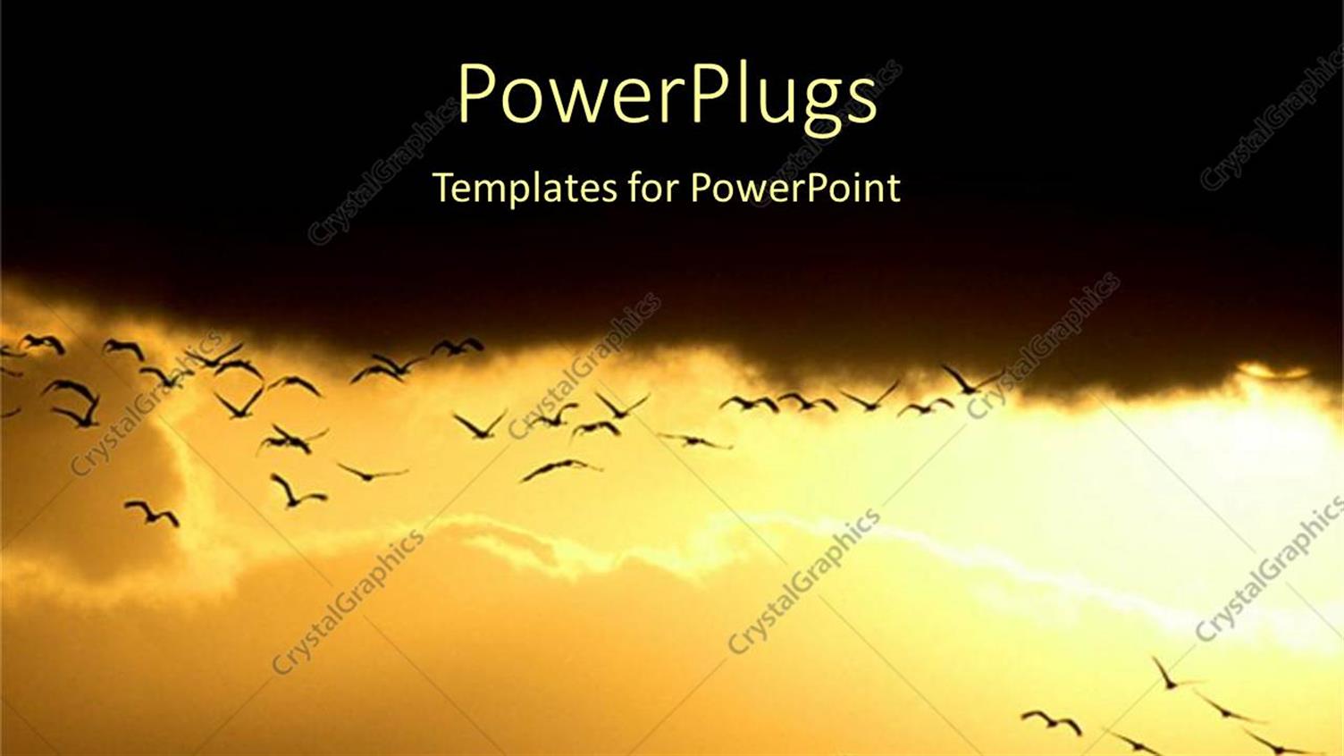 Premium Template for PowerPoint & Google Slides 