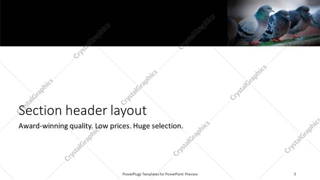 Section Header presentation slide layout