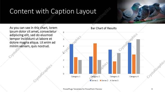 Content with Caption presentation slide layout