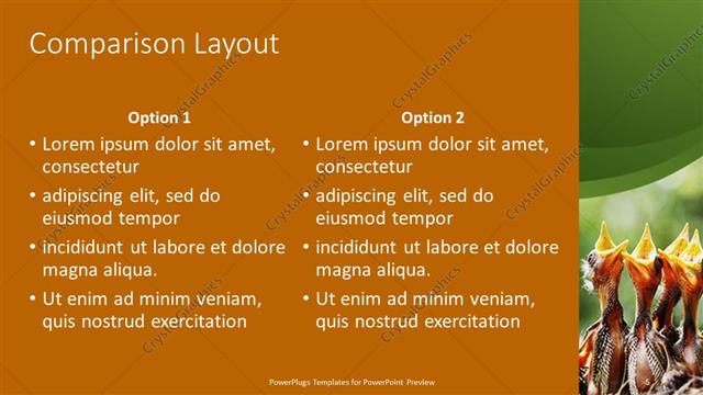 Comparison presentation slide layout