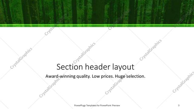 Section Header presentation slide layout