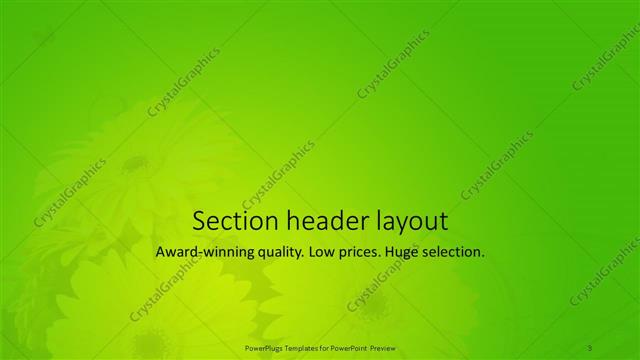 Section Header presentation slide layout