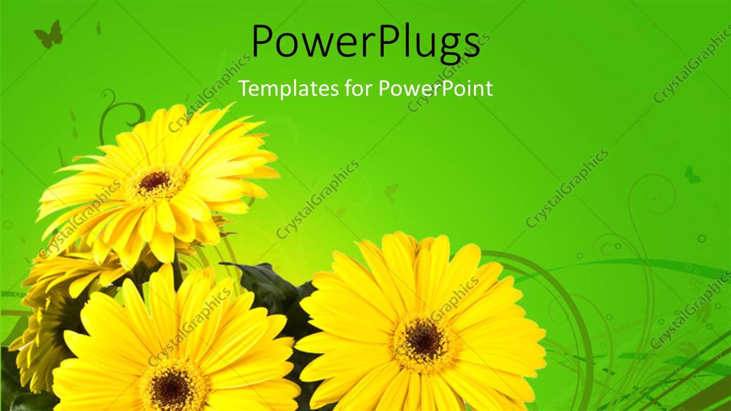 Premium Template for PowerPoint & Google Slides 