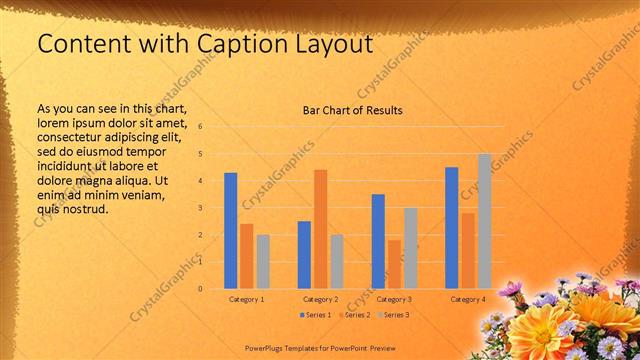 Content with Caption presentation slide layout