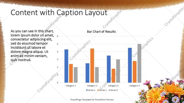 Content with Caption presentation slide layout