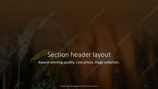 Section Header presentation slide layout