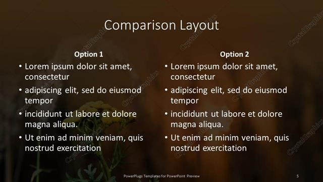 Comparison presentation slide layout