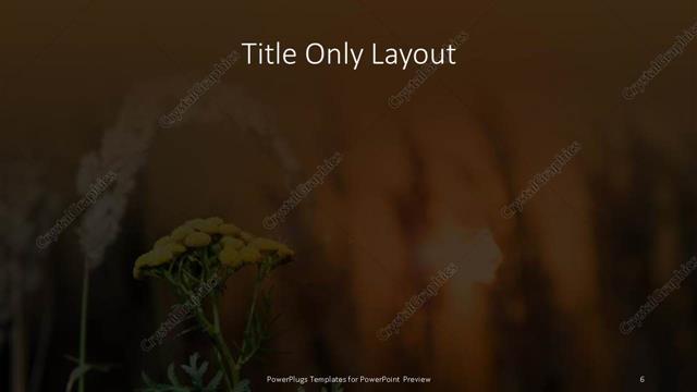 Title Only presentation slide layout