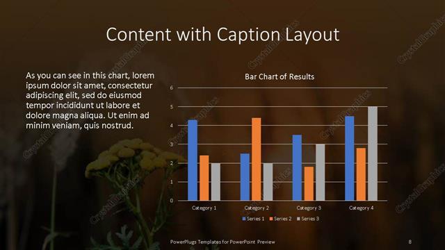 Content with Caption presentation slide layout