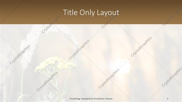 Title Only presentation slide layout
