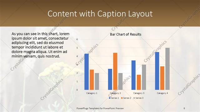 Content with Caption presentation slide layout