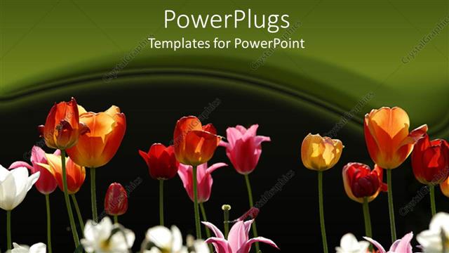  Presentation with garden - A flower garden with green background