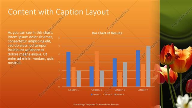 Content with Caption presentation slide layout