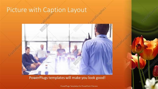 Picture with Caption presentation slide layout