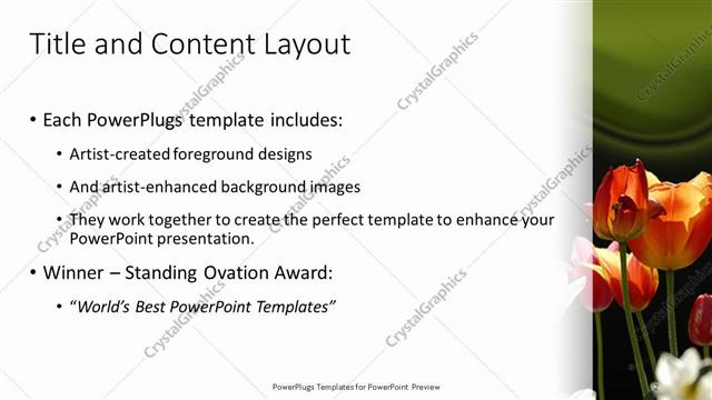 Title and Content presentation slide layout