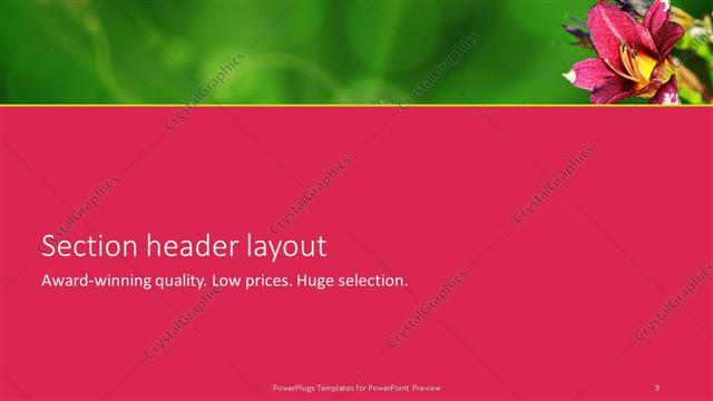 Section Header presentation slide layout