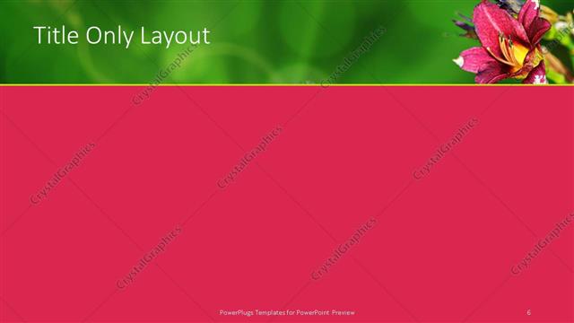 Title Only presentation slide layout