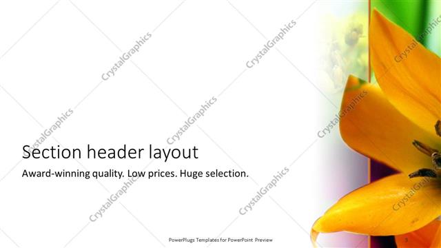Section Header presentation slide layout