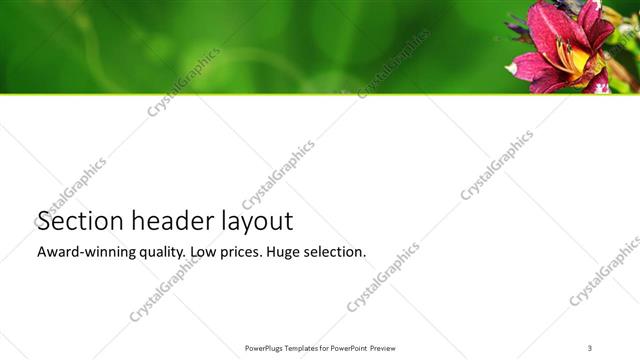 Section Header presentation slide layout