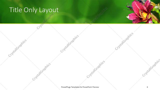 Title Only presentation slide layout