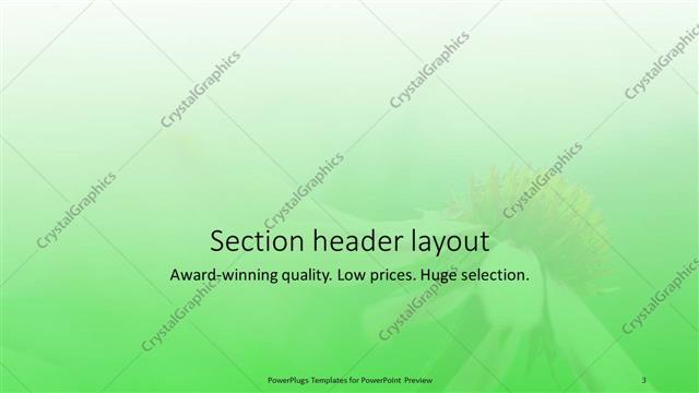 Section Header presentation slide layout