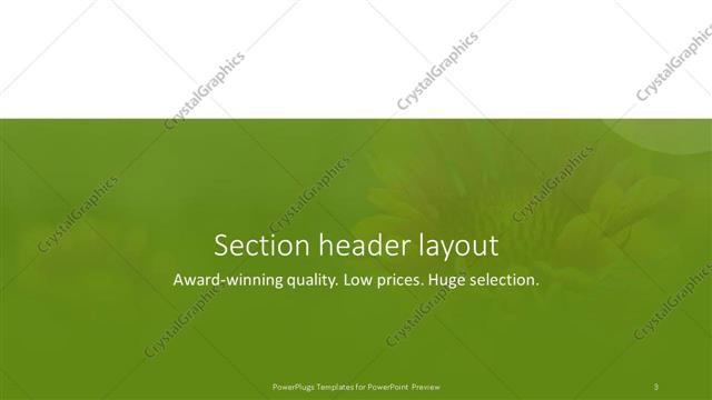 Section Header presentation slide layout