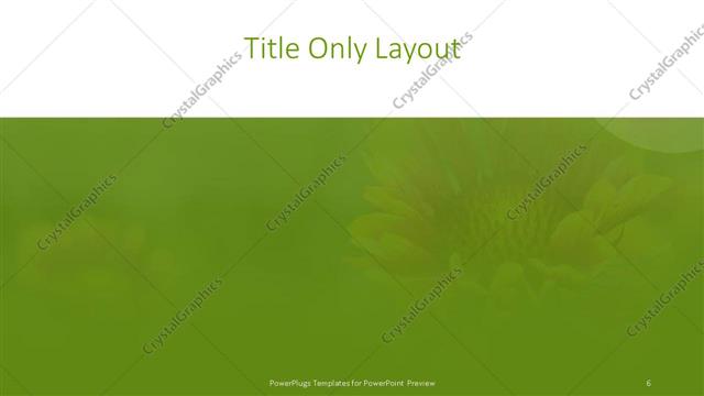 Title Only presentation slide layout