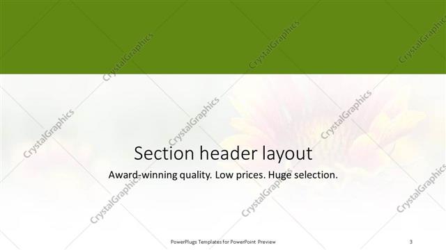 Section Header presentation slide layout