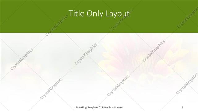 Title Only presentation slide layout
