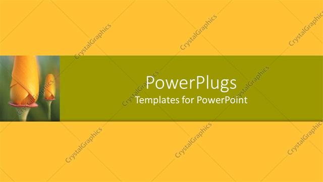  Presentation with agriculture - Flowers with yellowish background and place for text