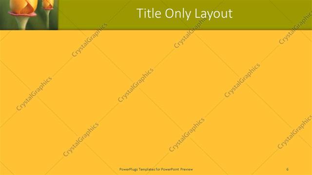 Title Only presentation slide layout