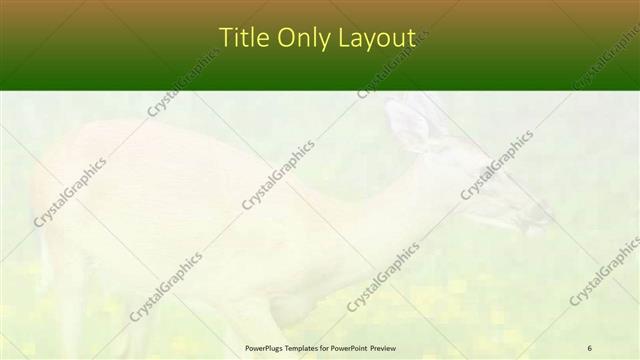 Title Only presentation slide layout