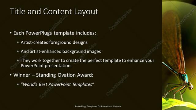 Title and Content presentation slide layout