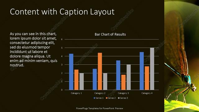 Content with Caption presentation slide layout