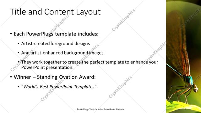 Title and Content presentation slide layout
