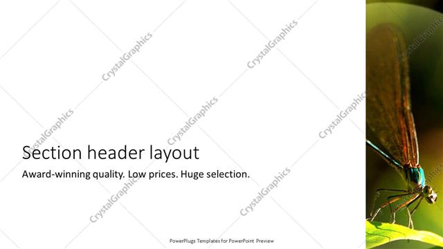Section Header presentation slide layout
