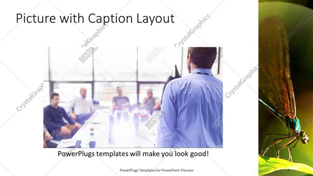 Picture with Caption presentation slide layout