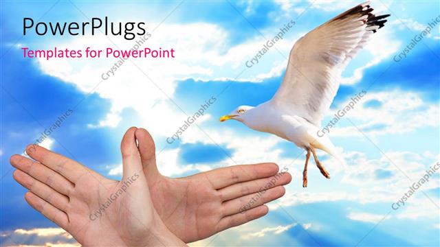  Presentation with peace - Flying bird depicting peace and freedom with clouds