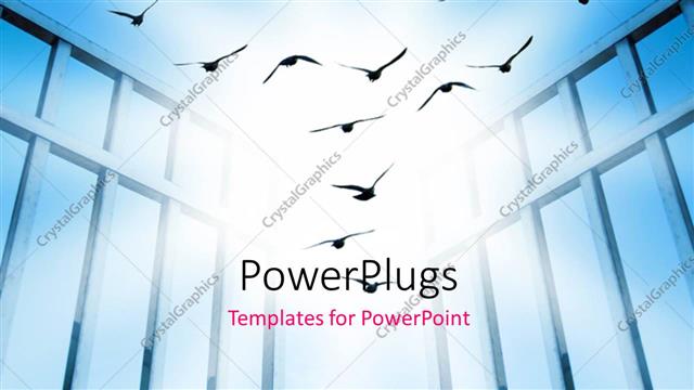  Presentation with overcome - Flying birds depicting freedom with sky in the background