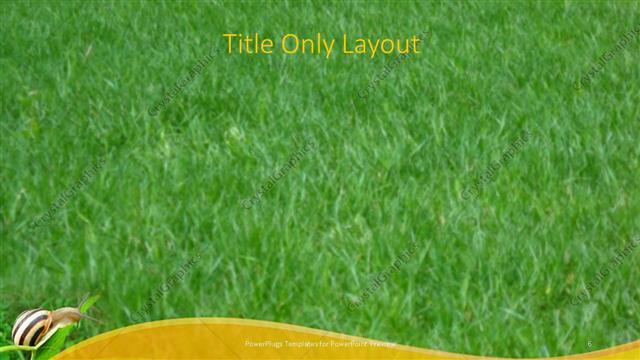 Title Only presentation slide layout