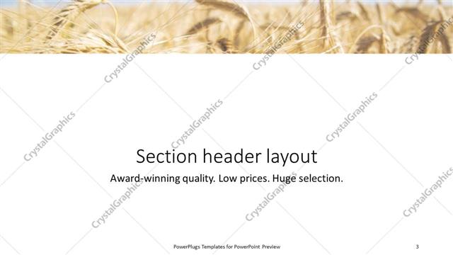 Section Header presentation slide layout