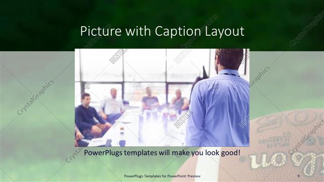 Picture with Caption presentation slide layout