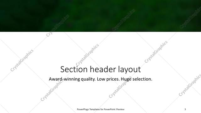 Section Header presentation slide layout